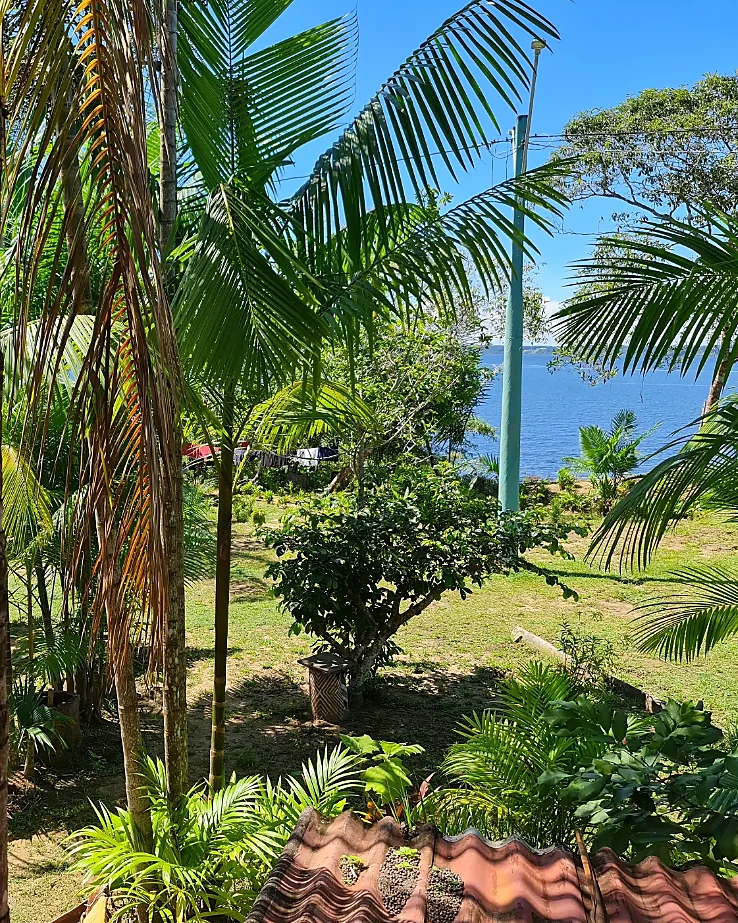 Tropischer Garten mit Blick auf den Rio Negro